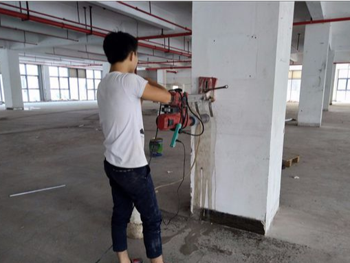 摇钱树10码期期必中