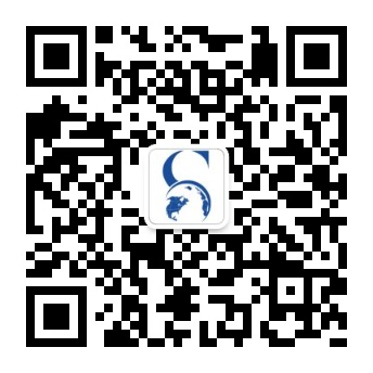 摇钱树10码期期必中
